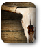 Brooks and Dunn tickets graphic